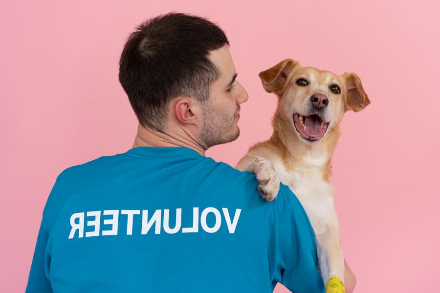 How Emotional Support Animals Help People Living with PTSD