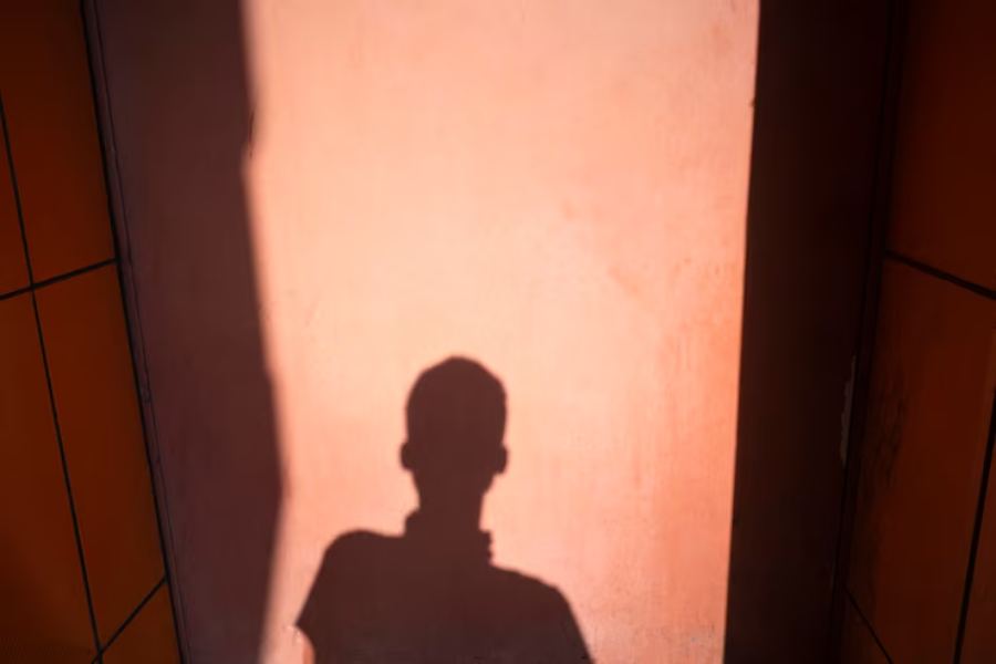Inside the Shadows