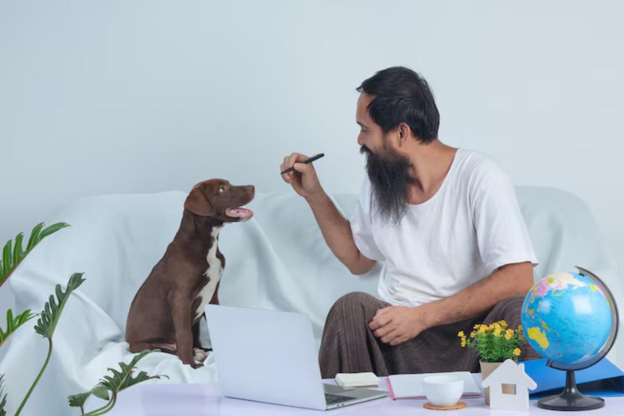 What to Look for in a Property That Welcomes Your Whole Crew—Dogs Included