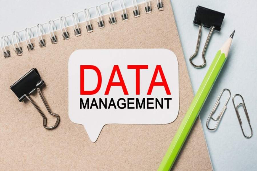 Your Organization's Data Cannot Be Pasted Here
