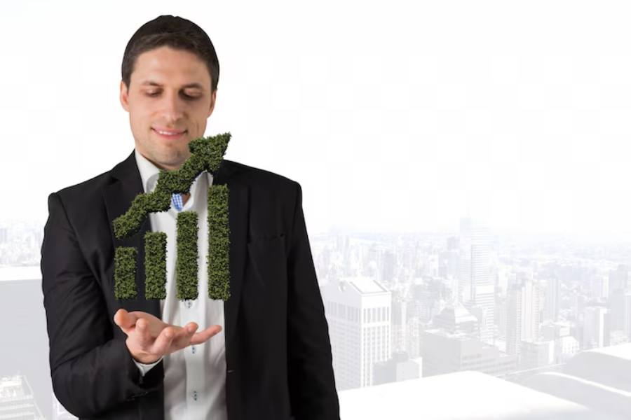 What Is Organic Growth in a Business