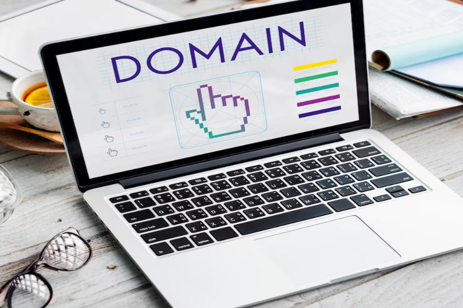 Understanding Domain Registration